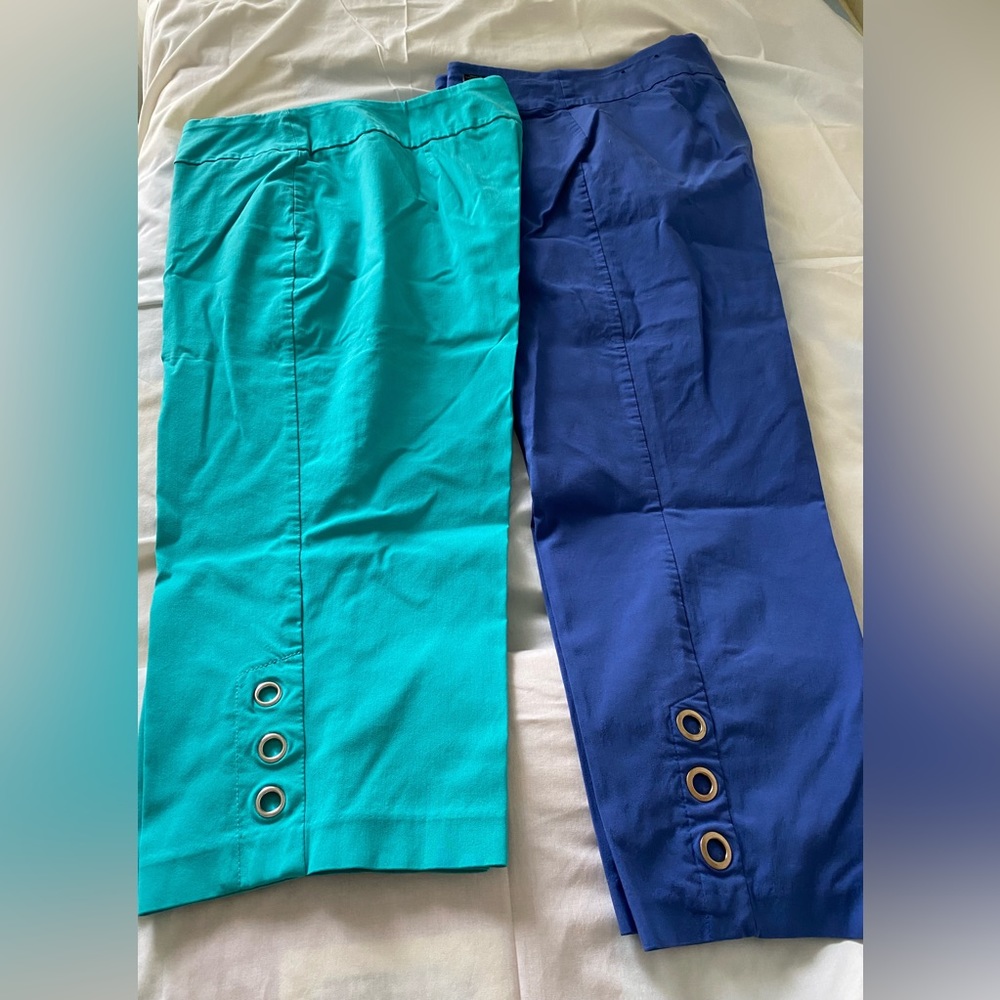 20W two pair capri slacks